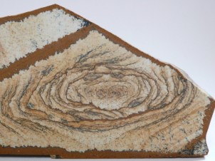signatura-vnutro-creva-a-traviaci-trakt.jpg