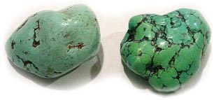 Šamanskí sprievodcovia: Moľ