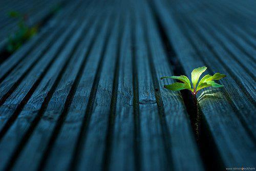 Rozcvičujeme energiu v čakrách