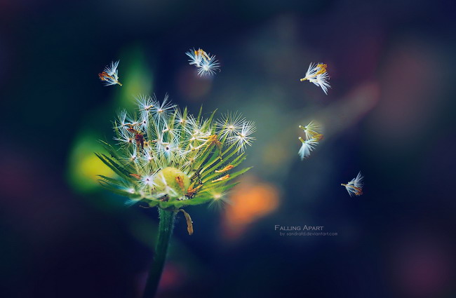 Bosorácky stalking: začíname