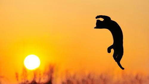 Radosť nemusí mať dôvod; stačí, keď má Zdroj&nbsp;:-)