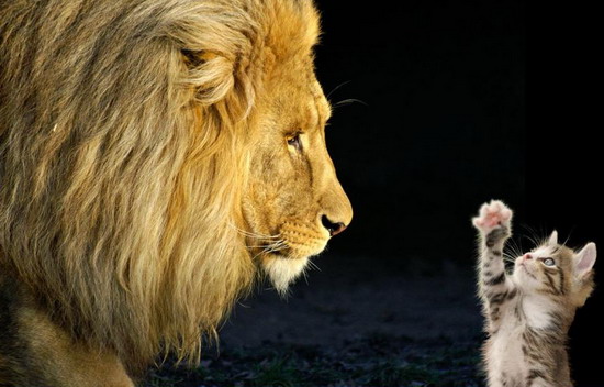 Po ezoterických chodníčkoch (anjelsky&nbsp;fotoromán)