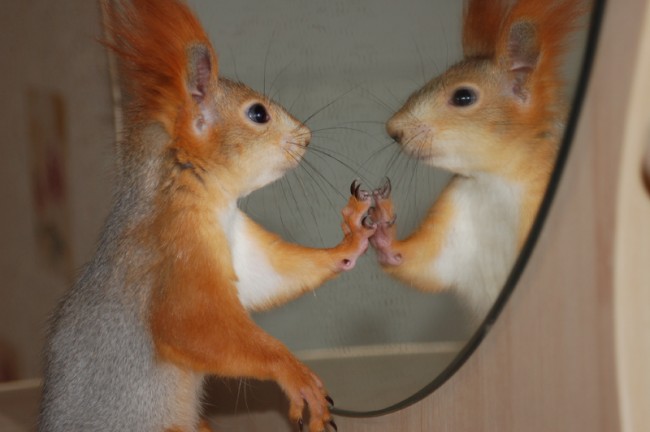 "Nerob predpoklady!" Ale&nbsp;ako?