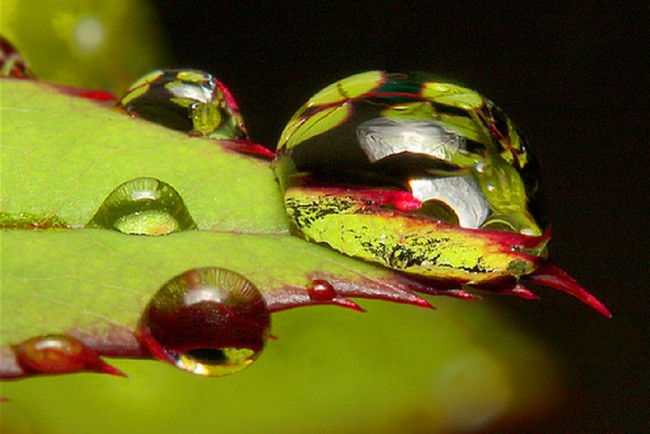 Čím viac si schopný konať, tým menej&nbsp;konáš
