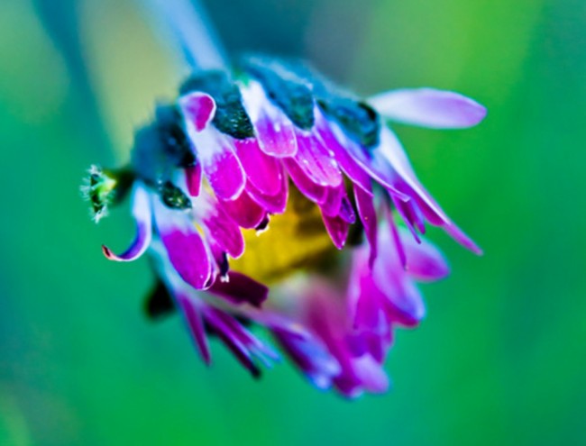 Byť človekom #1: Dostaneš telo… sebahodnota, rešpekt a&nbsp;pôžitok