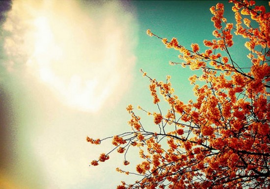 Aktivujeme si 12-vláknovú DNA&nbsp;2