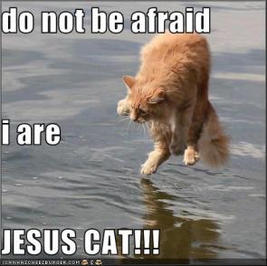 jesus cat