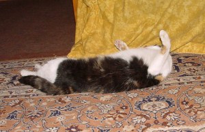 cica pozri co vsetko si mozem dovolit ked je tu blondinecka