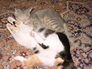 cila nasiel som si babuuuu