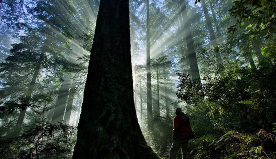 2012 a šamanský pohľad na&nbsp;vzostup