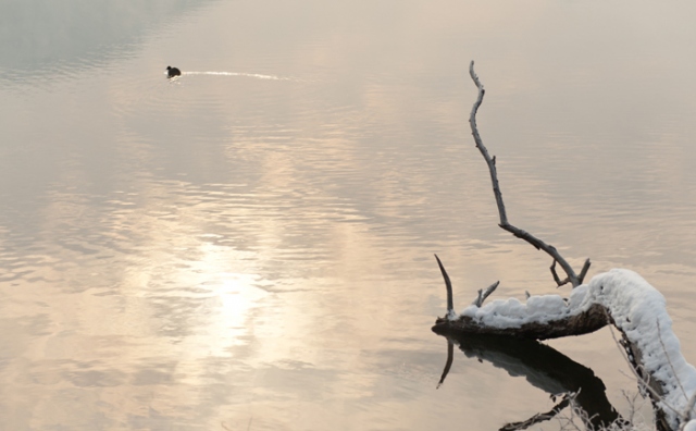 Anonymní stalkovači: príprava na druhé&nbsp;stretnutie