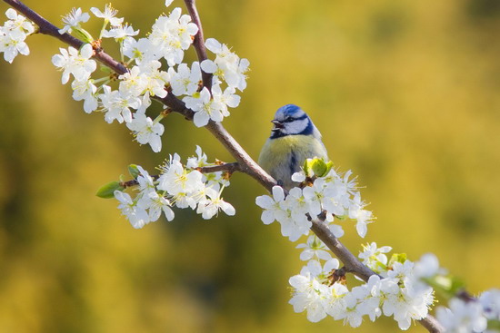 Nikto sa nikam neprepadne – jedine ak do Pekla!&nbsp;:-)