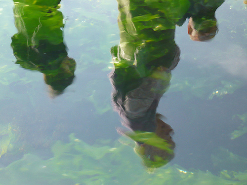 Anatómia ľudskej energie