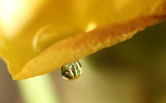 Ak potrebujete, ale nechcete plakať