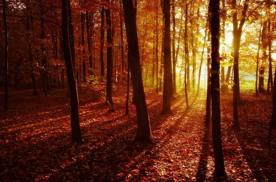 Cesta bojovníka: na konci začína a na začiatku&nbsp;končí