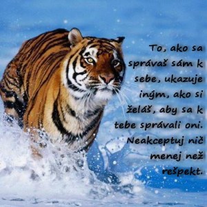 ako sa spravas k sebe