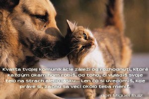 na co sa prave vyladis