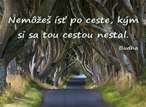 nemozes ist po ceste