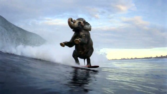 Ako rozpoznať prirodzené nadania v tarote