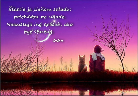 stastie je tienom suladu