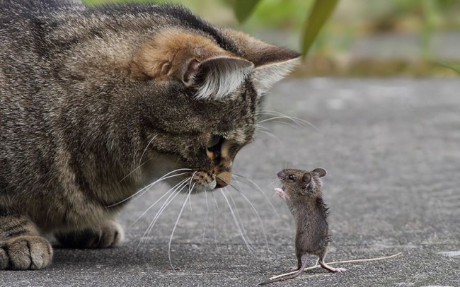 Byť človekom #2: Budeš prechádzať lekciami…&nbsp;otvorenosť