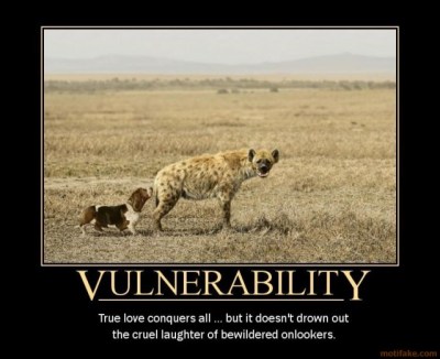vulnerability-ha-ha-demotivational-poster-1249074823