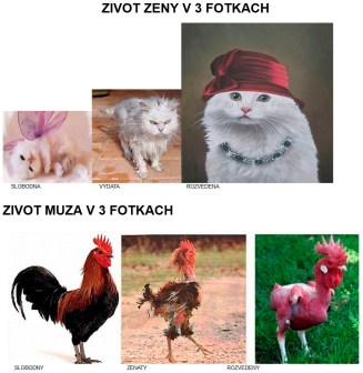 zivot muza, zivot zeny