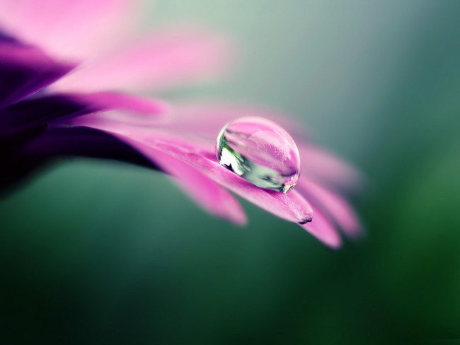 Niet lieku pre fakty&nbsp;života?