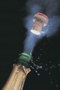 popping_champaign-3029