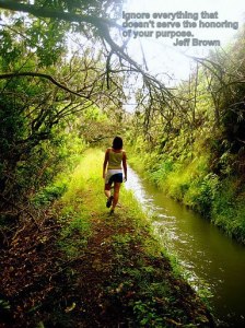 150988_10151350377145982_1825243421_n