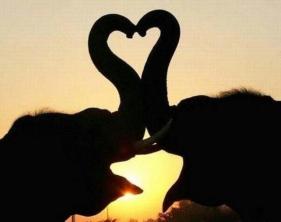 65563_512444288793976_1345183576_n