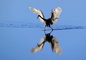 watery-mirror-beauty-of-God-s-making-god-the-creator-16670465-399-283