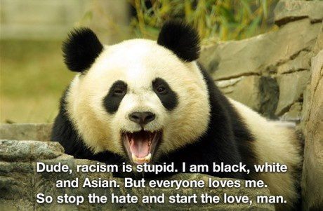 387759_198654570222254_855440030_n