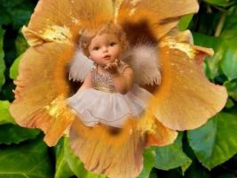 262626_479234655468372_1920549180_n