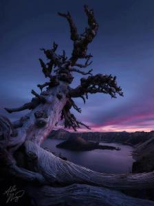 31601_578439012190473_670151487_n