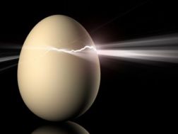 dramatic_egg_cracking_lg