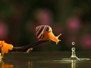 574589_474149759327458_2040886598_n