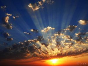 575617_252053824932630_28643308_n