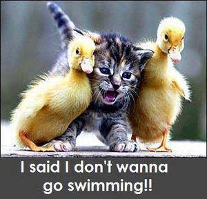 577460_554362011273347_1348664204_n