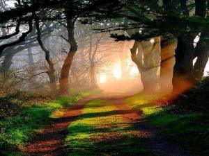 599440_553493988026816_434043295_n