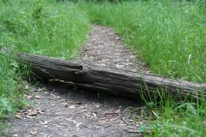 943195_385624774879717_1444065619_n