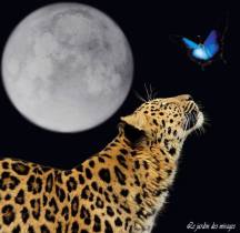 970555_251905348285869_1425720479_n