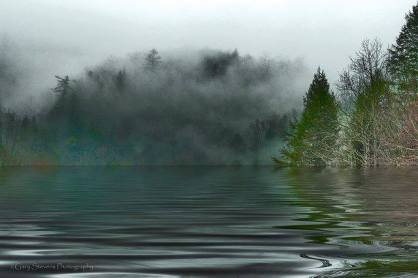 1010456_401446519964209_2029627798_n