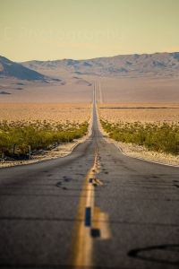 179763_479378865464751_1245279688_n