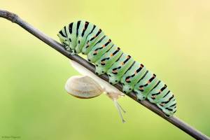 992826_596378987062452_380961286_n