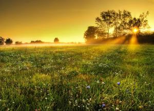 Photo by Zsolt Zsigmond