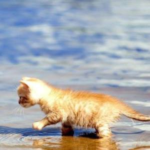 1000409_627401910612596_1409578354_n