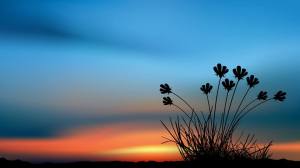 15995_414248928683968_1148533591_n