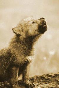 379769_418825544860249_587902037_n