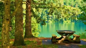 555172_189584281208572_1590528219_n